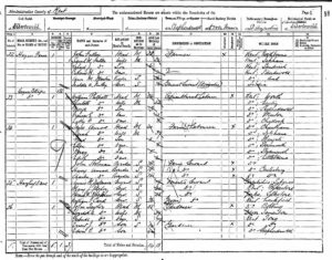 1891 Census Pages